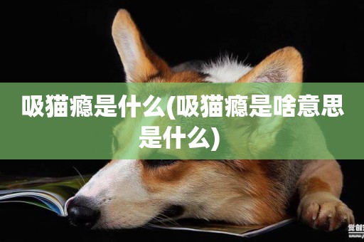 吸貓癮是什么(吸貓癮是啥意思是什么) 