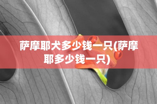 薩摩耶犬多少錢一只(薩摩耶多少錢一只) 