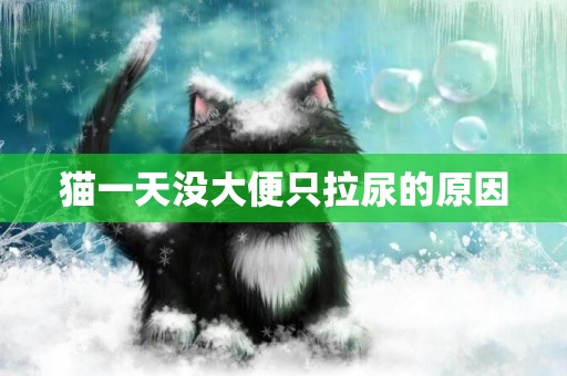 貓一天沒大便只拉尿的原因