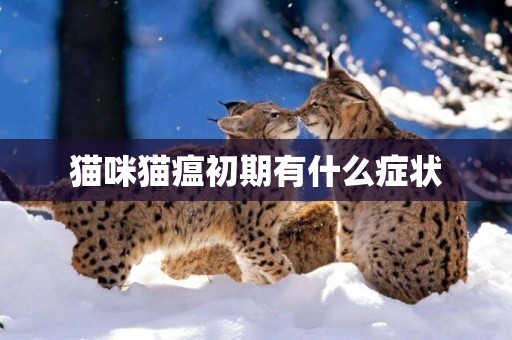 貓咪貓瘟初期有什么癥狀