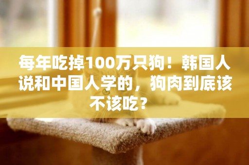 每年吃掉100萬只狗！韓國人說和中國人學的，狗肉到底該不該吃？ 