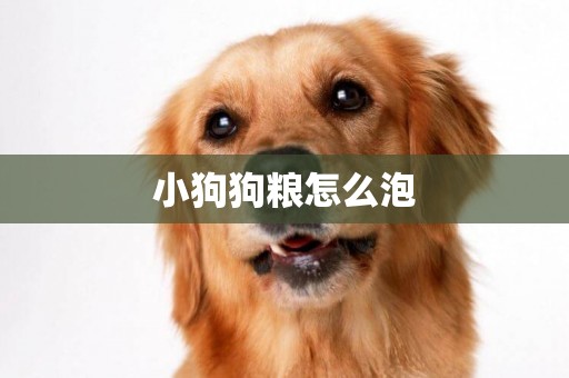 小狗狗糧怎么泡