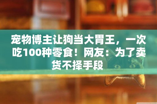 寵物博主讓狗當大胃王，一次吃100種零食！網友：為了賣貨不擇手段 