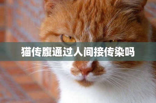貓傳腹通過人間接傳染嗎