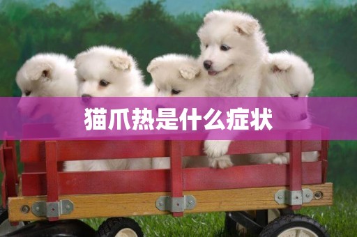 貓爪熱是什么癥狀