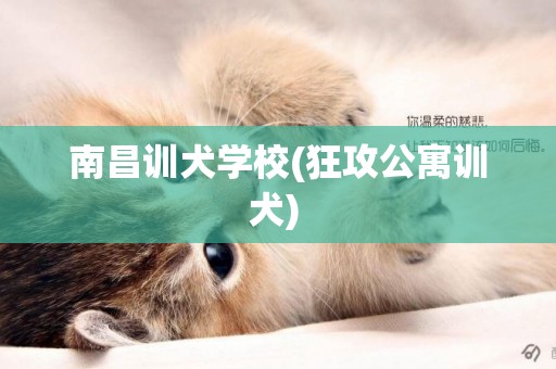 南昌訓犬學校(狂攻公寓訓犬) 