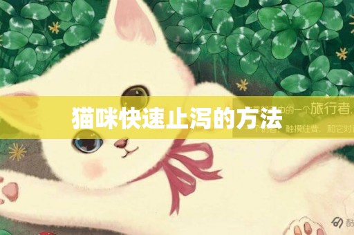 貓咪快速止瀉的方法