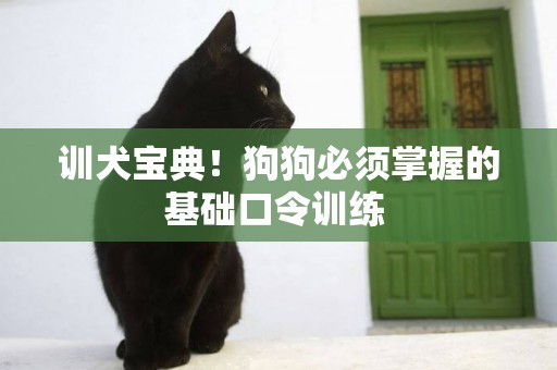 訓犬寶典！狗狗必須掌握的基礎口令訓練 