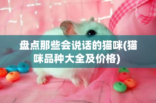 盤點那些會說話的貓咪(貓咪品種大全及價格) 