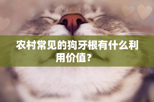 農村常見的狗牙根有什么利用價值？ 