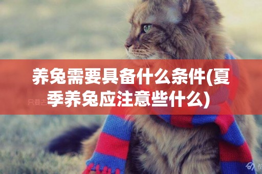 養兔需要具備什么條件(夏季養兔應注意些什么) 