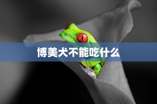 博美犬不能吃什么