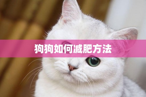 狗狗如何減肥方法
