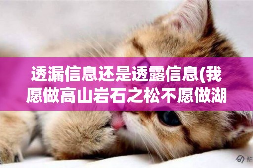 透漏信息還是透露信息(我愿做高山巖石之松不愿做湖岸河旁之柳誰說的) 