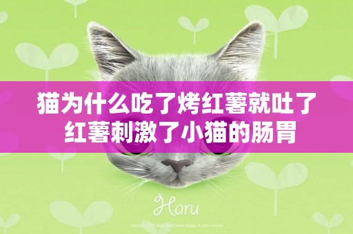 貓為什么吃了烤紅薯就吐了 紅薯刺激了小貓的腸胃