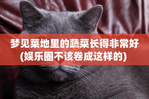 夢見菜地里的蔬菜長得非常好(娛樂圈不該卷成這樣的) 