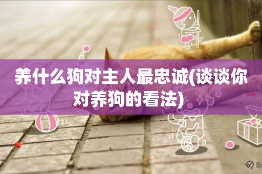 養什么狗對主人最忠誠(談談你對養狗的看法) 