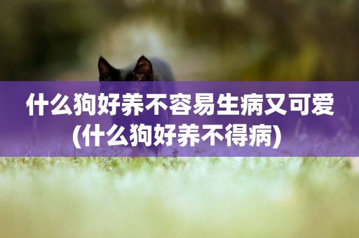 什么狗好養不容易生病又可愛(什么狗好養不得病) 