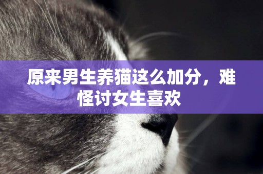 原來男生養貓這么加分，難怪討女生喜歡 