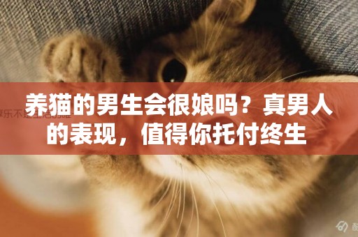養貓的男生會很娘嗎？真男人的表現，值得你托付終生 