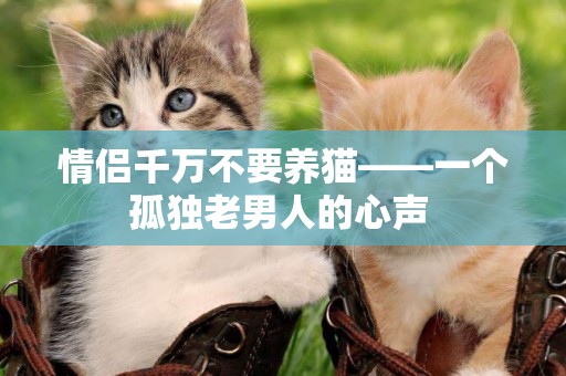 情侶千萬不要養貓——一個孤獨老男人的心聲 