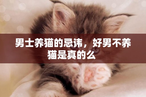 男士養貓的忌諱，好男不養貓是真的么 