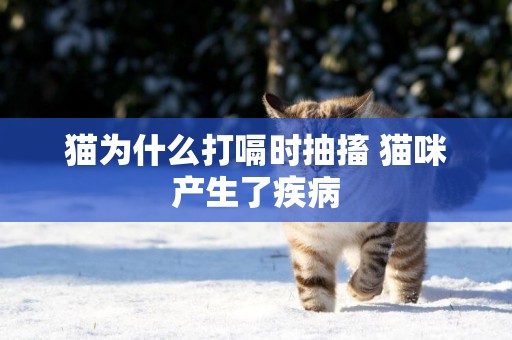 貓為什么打嗝時抽搐 貓咪產生了疾病