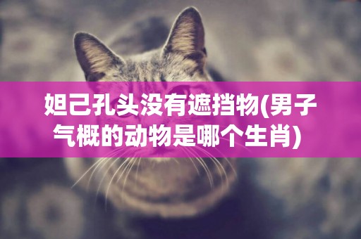 妲己孔頭沒有遮擋物(男子氣概的動物是哪個生肖) 