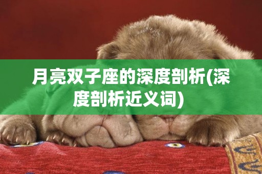 月亮雙子座的深度剖析(深度剖析近義詞) 