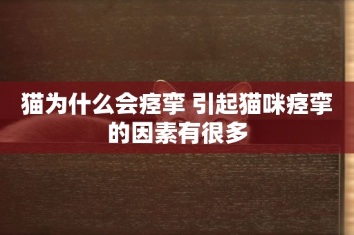 貓為什么會痙攣 引起貓咪痙攣的因素有很多