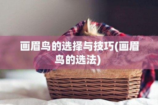 畫眉鳥的選擇與技巧(畫眉鳥的選法) 