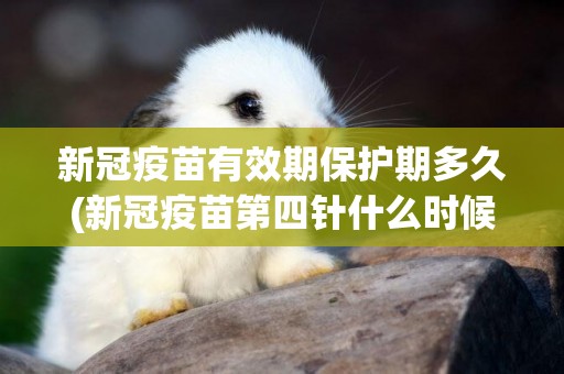 新冠疫苗有效期保護期多久(新冠疫苗第四針什么時候打) 