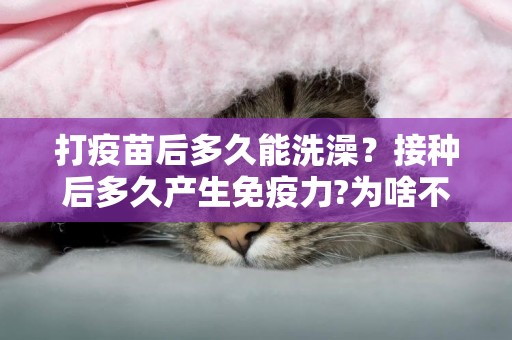 打疫苗后多久能洗澡？接種后多久產生免疫力?為啥不能提前接種？ 