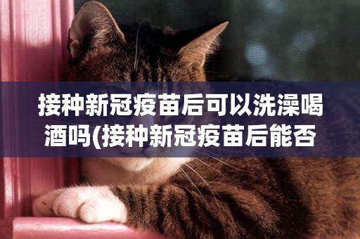 接種新冠疫苗后可以洗澡喝酒嗎(接種新冠疫苗后能否喝酒吃辣) 