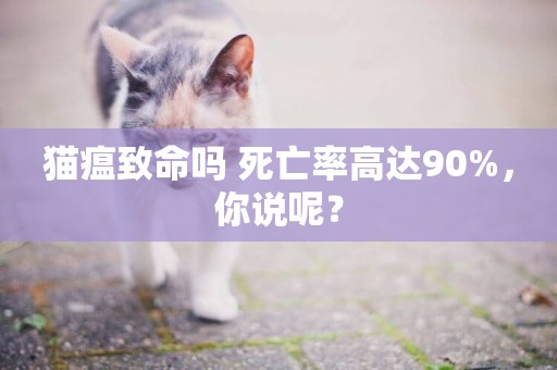 貓瘟致命嗎 死亡率高達90%，你說呢？