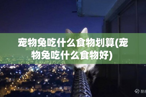 寵物兔吃什么食物劃算(寵物兔吃什么食物好) 