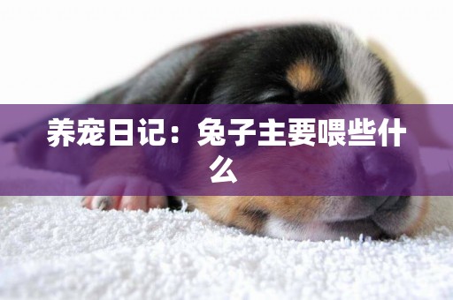 養寵日記：兔子主要喂些什么 