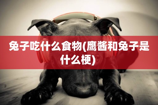 兔子吃什么食物(鷹醬和兔子是什么梗) 