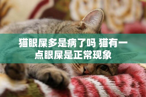 貓眼屎多是病了嗎 貓有一點眼屎是正常現象