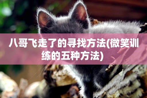 八哥飛走了的尋找方法(微笑訓練的五種方法) 