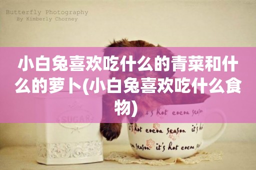 小白兔喜歡吃什么的青菜和什么的蘿卜(小白兔喜歡吃什么食物) 