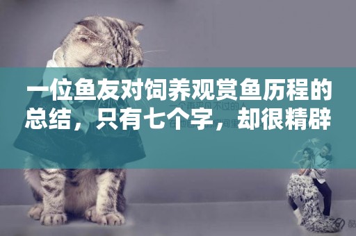 一位魚友對飼養觀賞魚歷程的總結，只有七個字，卻很精辟 