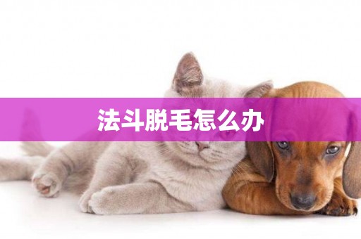 法斗脫毛怎么辦