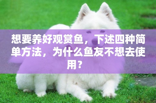 想要養好觀賞魚，下述四種簡單方法，為什么魚友不想去使用？ 