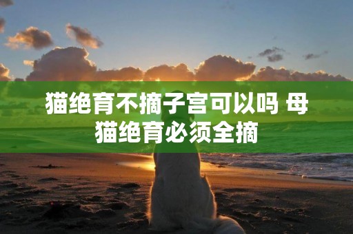 貓絕育不摘子宮可以嗎 母貓絕育必須全摘