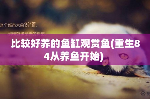 比較好養的魚缸觀賞魚(重生84從養魚開始) 