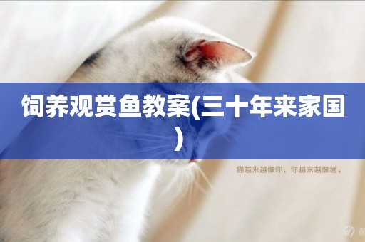 飼養觀賞魚教案(三十年來家國) 
