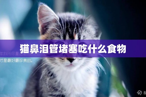 貓鼻淚管堵塞吃什么食物