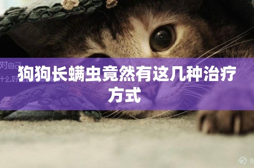 狗狗長螨蟲竟然有這幾種治療方式 