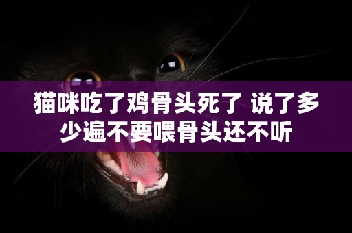貓咪吃了雞骨頭死了 說了多少遍不要喂骨頭還不聽